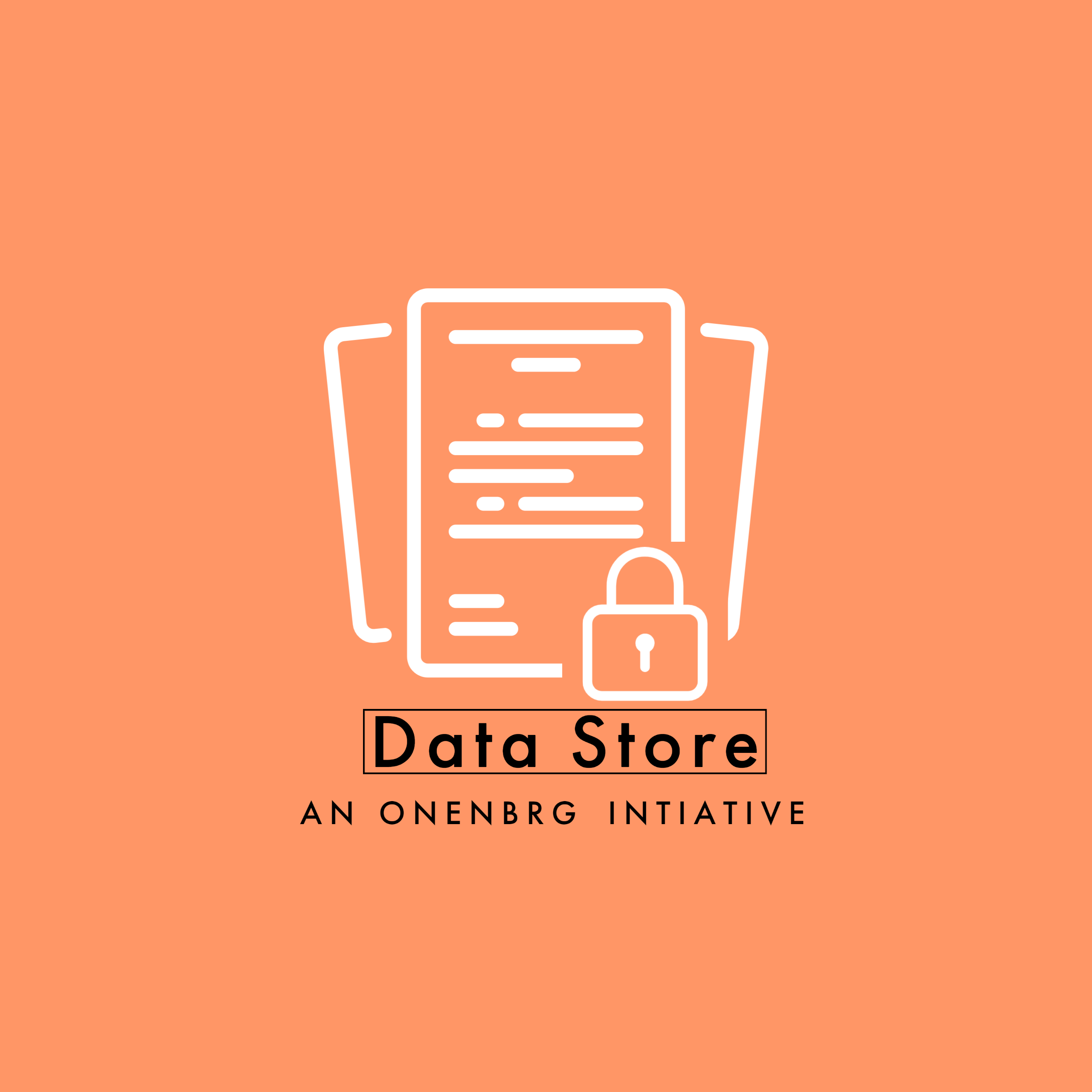 Data-Store's Logo
